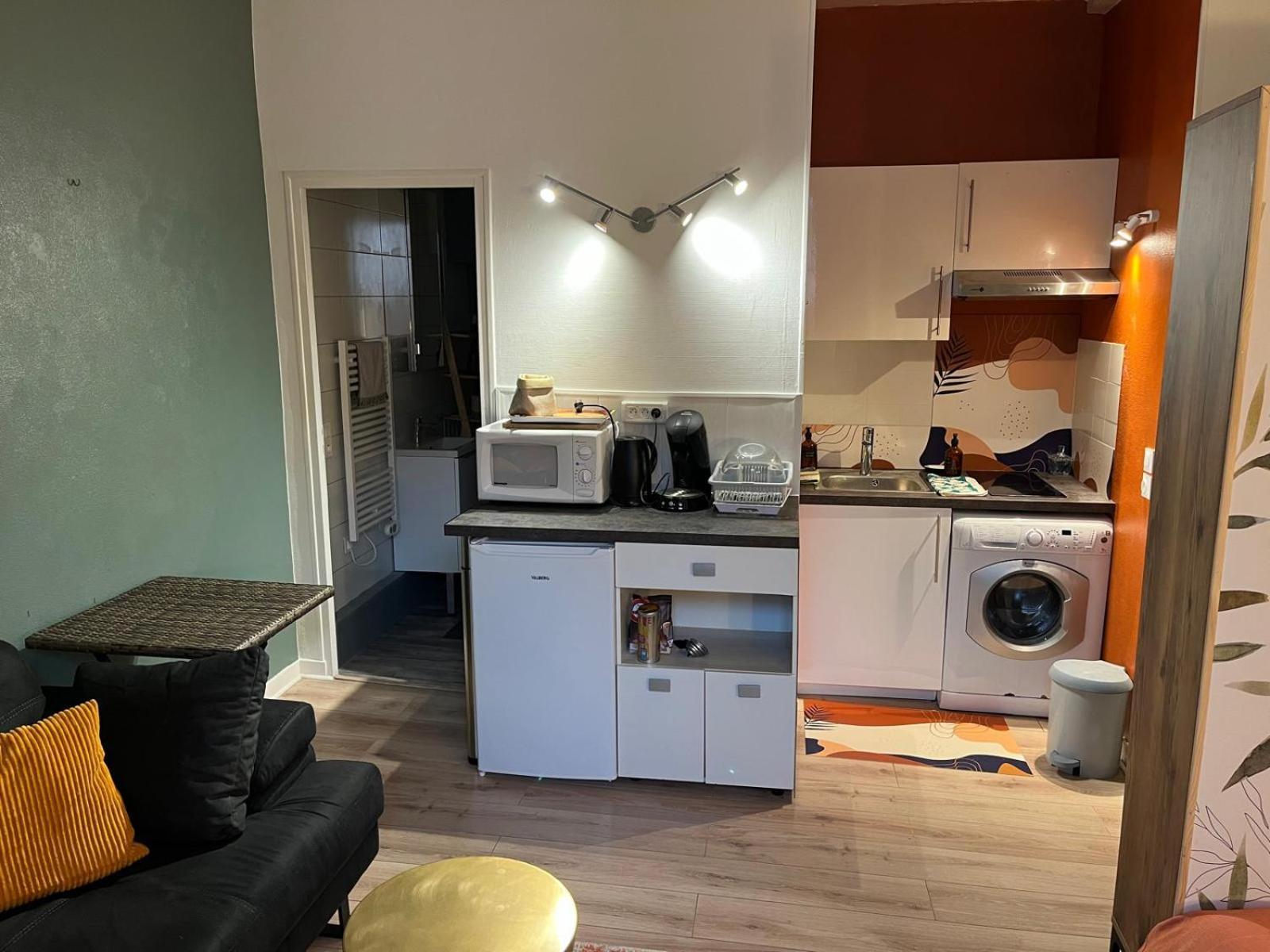 Studio Cosy En Coeur De Ville Pau Buitenkant foto